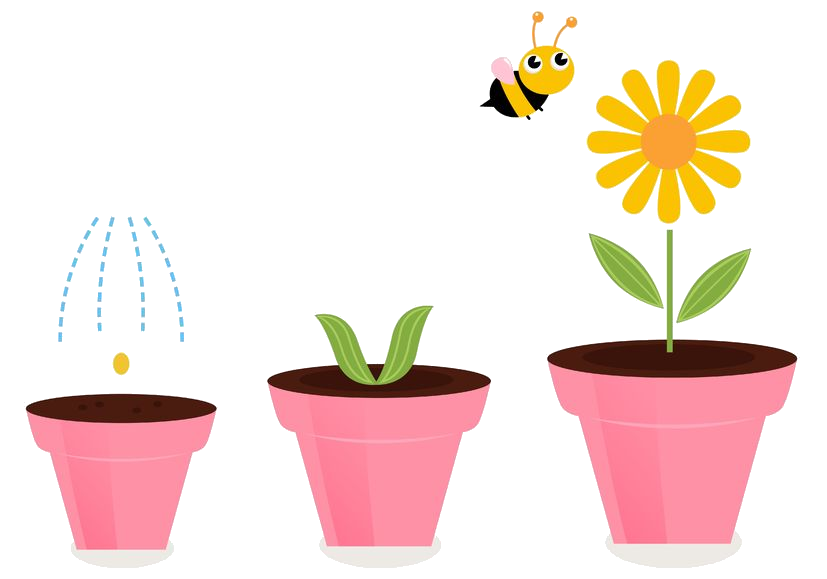 Grow your website with TechHouse Host hosting